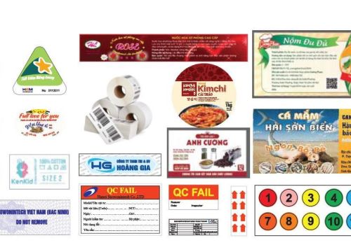 TOP 6 Loại Tem Nhãn Phổ Biến Nhất 2025!