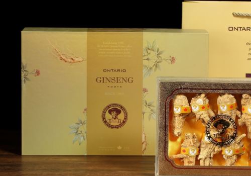 Hộp sâm đẹp 2025