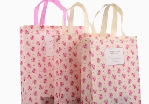 In túi vải thiết kế theo yêu cầu