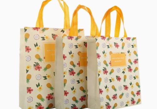 In túi vải đẹp