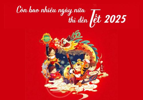 Đếm Ngược Đến Tết Nguyên Đán 2025! Còn Bao Nhiêu Ngày Nữa Đến Tết 2025?