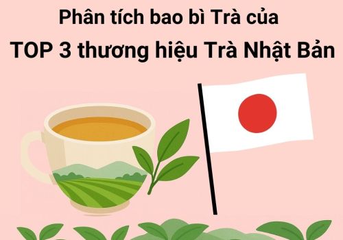 TOP 3 Phân Tích Bao Bì Trà Nhật Bản Từ Các Thương Hiệu Nổi Tiếng!