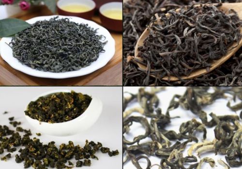 Phân Biệt Các Loại Trà: Trà Xanh, Trà Đen, Trà Ô Long, Trà Trắng – Uống Đúng Trà, Hiểu Đúng Vị!