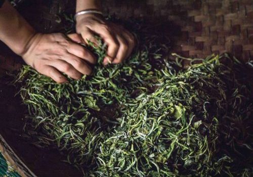 Cách Định Giá Sản Phẩm Trà Thủ Công Mà Không Bị 