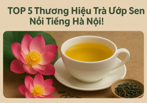 TOP 5 Thương Hiệu Trà Ướp Sen Nổi Tiếng Hà Nội!