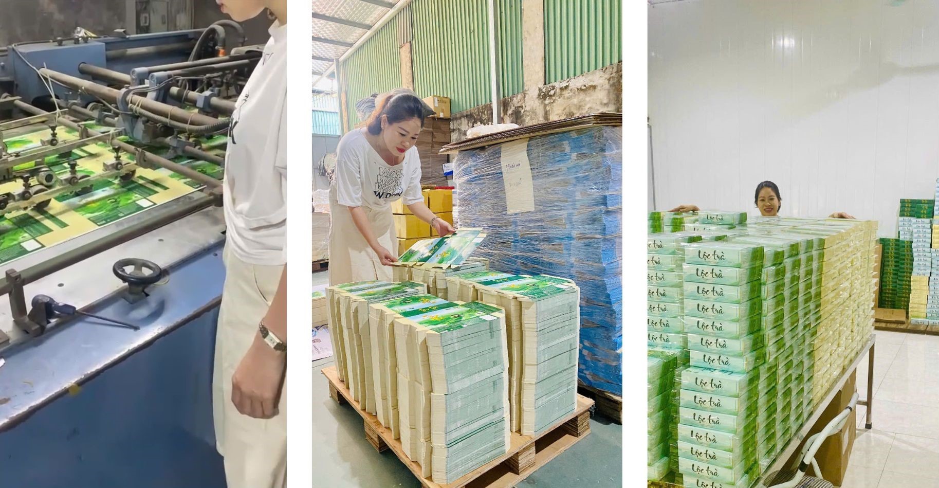 quy trinh san xuat hop tra