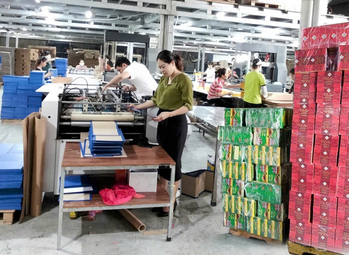 z6373430892169_5864cc24d2762e3b7e83c569c03b14c5